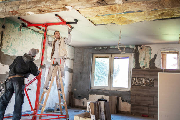 Best Insulation Contractors for Homes  in Hometown, IL