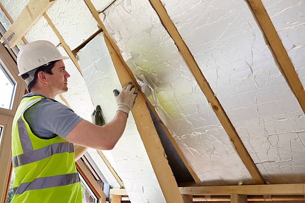 Best Home Insulation Services  in Hometown, IL