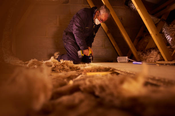 Best Residential Insulation Services  in Hometown, IL